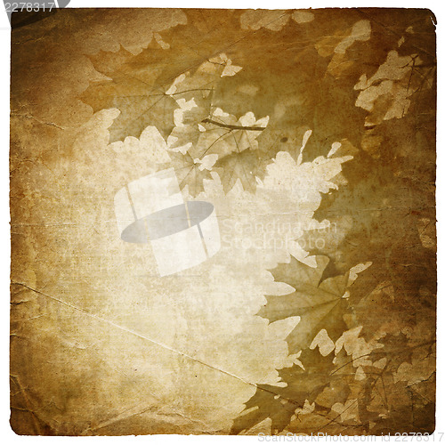Image of Vintage maple leaves background