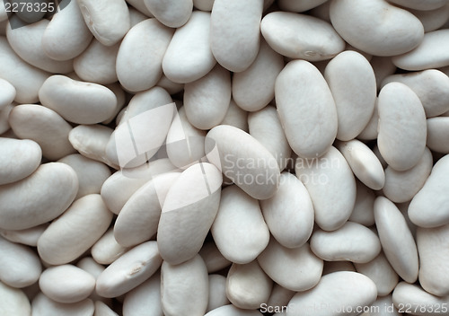 Image of Lima beans.