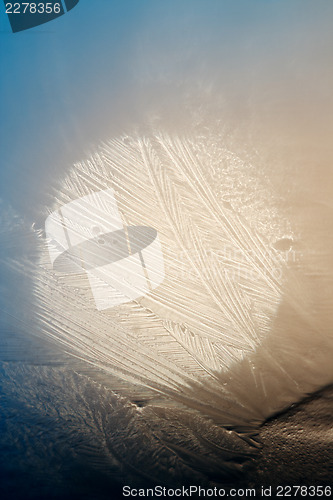 Image of Frosty natural pattern on winter window