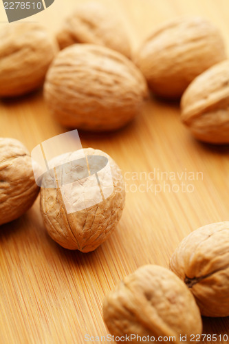 Image of Walnut