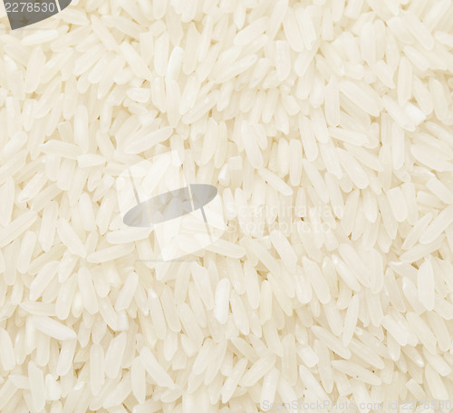Image of Uncooked white rice close up