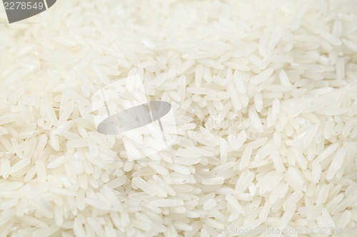 Image of Uncooked white rice