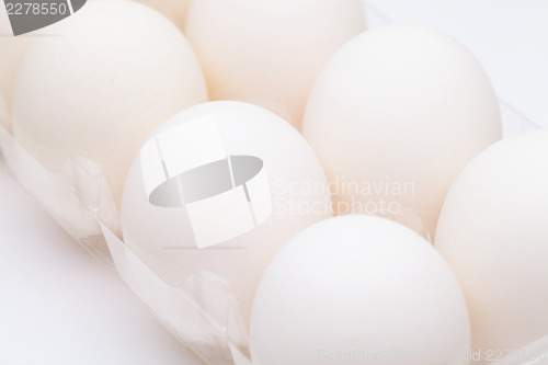 Image of White egg in plastic container