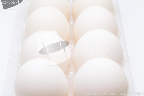Image of White egg in plastic container