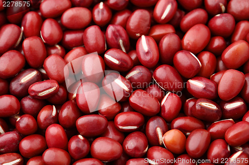 Image of Red Bean Adzuki background