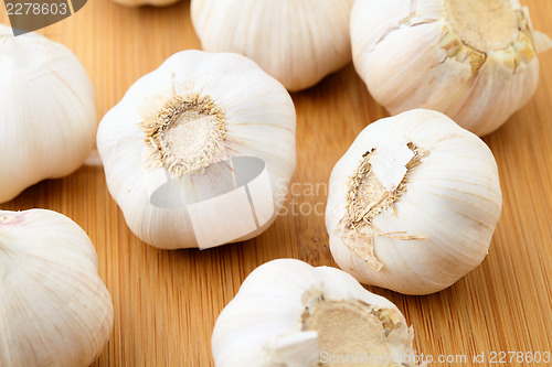 Image of Garlic