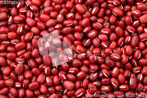 Image of Red Bean background