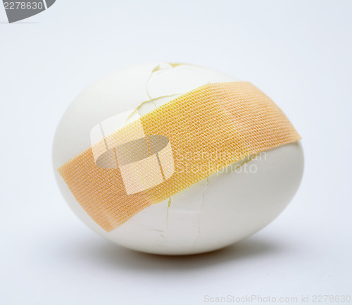 Image of Cracked white egg with plastic plaster