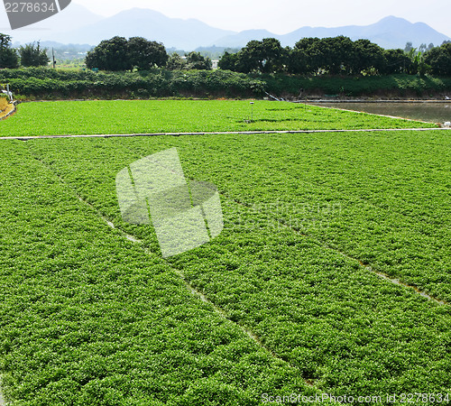 Image of Farm with sky