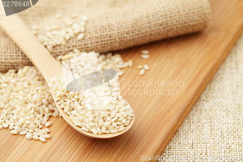 Image of Uncooked rice on spoon