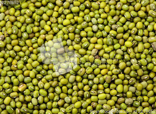 Image of Mung bean background