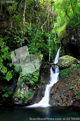 Image of Waterfall in forest