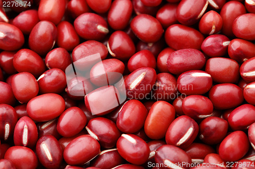 Image of Red Bean Adzuki close up 