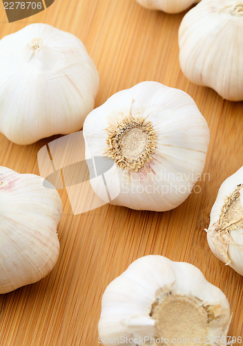Image of Garlic