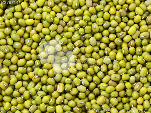 Image of Mung bean background