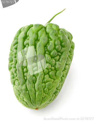 Image of Bitter melon on white background