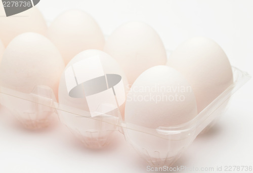 Image of White egg in plastic container