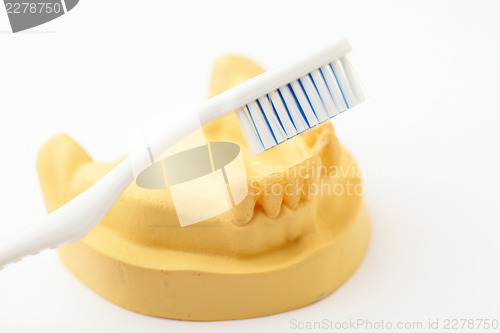 Image of Denture and toothbrush