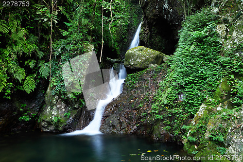 Image of Jungle with waterfall