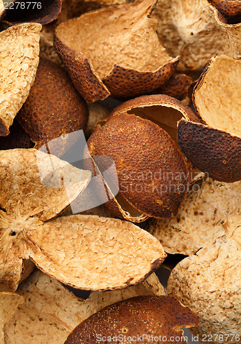 Image of Dried tangerine peel