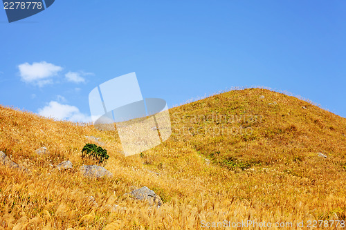 Image of Autumn mountain 