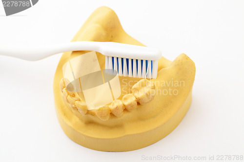 Image of Denture and toothbrush