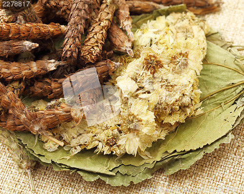 Image of Chinese herbal medicine 