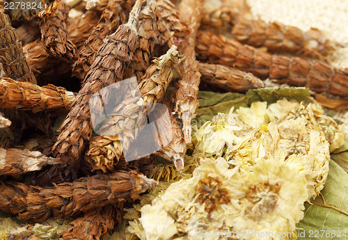Image of Chinese herbal medicine close up
