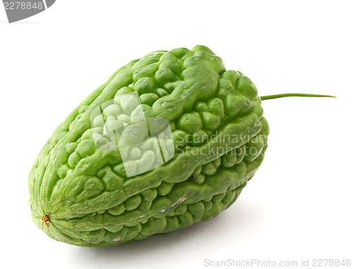 Image of Bitter melon on white background
