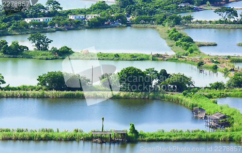 Image of Fish hatchery pond