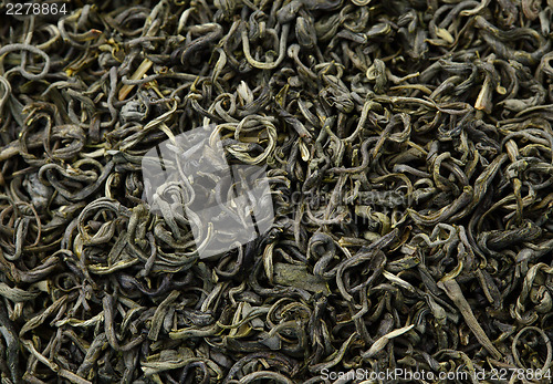 Image of Chinese green tea