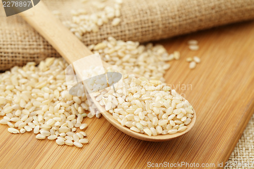 Image of Uncooked rice 