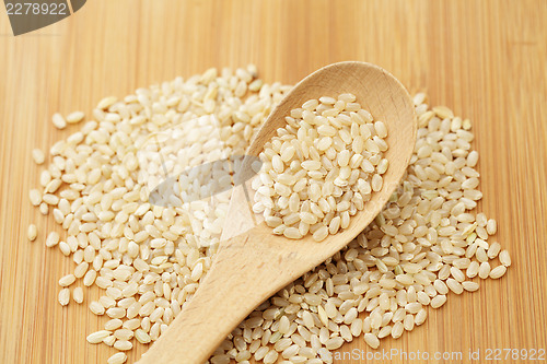 Image of Uncooked rice on spoon