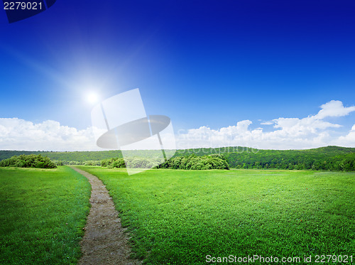 Image of Rural road and meadow