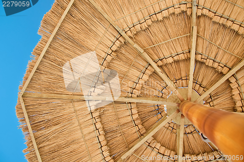 Image of Beach umbrella