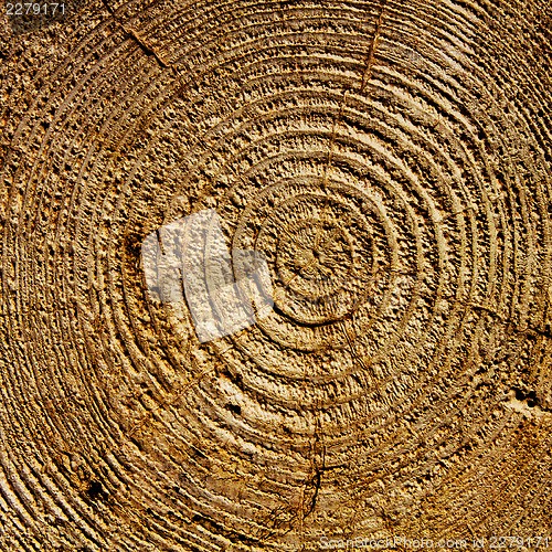Image of Years concentric circles