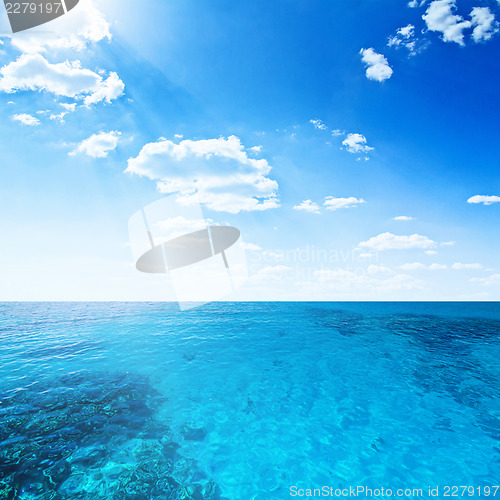 Image of Tropical ocean