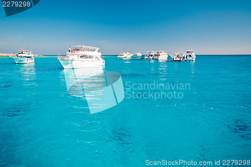 Image of Many yachts in lagoon