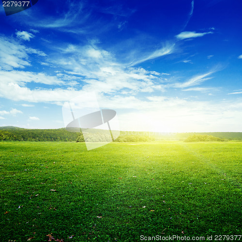 Image of Meadow and sky