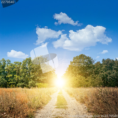 Image of Road to summer