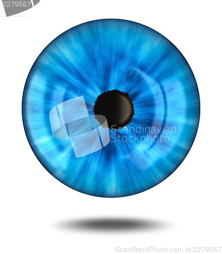 Image of Eye