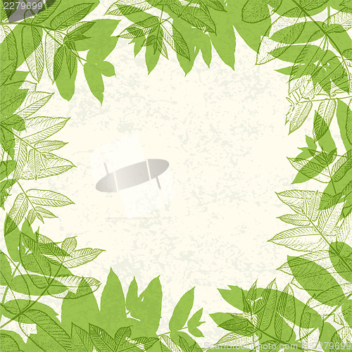 Image of Green leaves frame on paper texture. Vector illustration, EPS10.