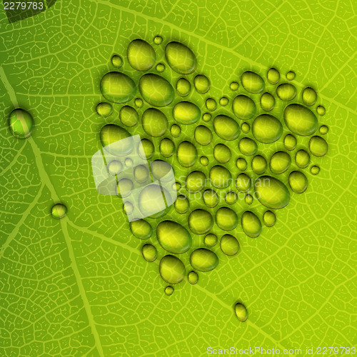 Image of Heart shape dew drops on green leaf. Vector illustration, EPS10