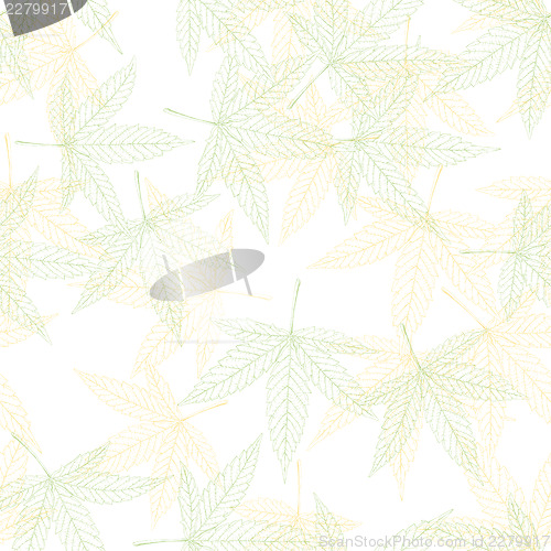 Image of Hemp leaves seamless pattern, vector, EPS8