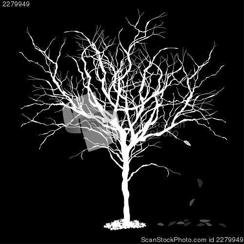 Image of Tree silhouettewith fallen leaves. Vector illustration, EPS8.