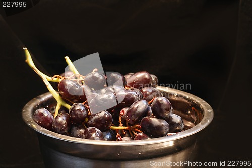 Image of Grapes