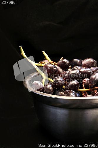 Image of Grapes