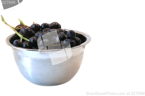 Image of Grapes