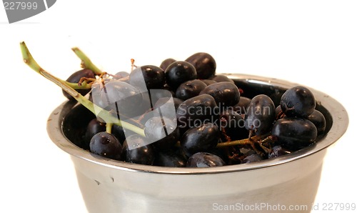 Image of Grapes