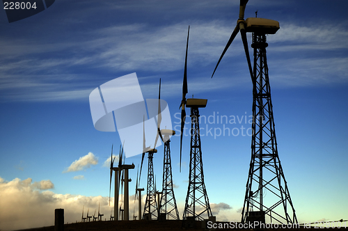 Image of Windmills